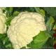 Cachitos de coliflor